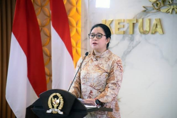 Makin Disorot! Lahan Bekas Karhutla Diduga Jadi Perkebunan Sawit, Puan Minta Aparat Bergerak