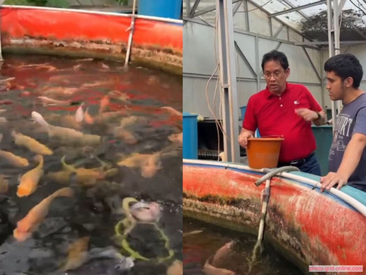 Usai Tak Lagi Menjabat, Purbaya Tampil Santai Kasih Makan Ikan hingga Ajak Mancing