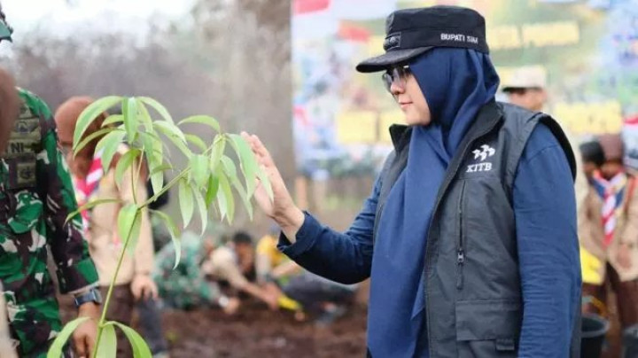 Bupati Siak Afni Zulkifli Protes Video Penanaman Pohon di Bekas Karhutla Dihapus TikTok